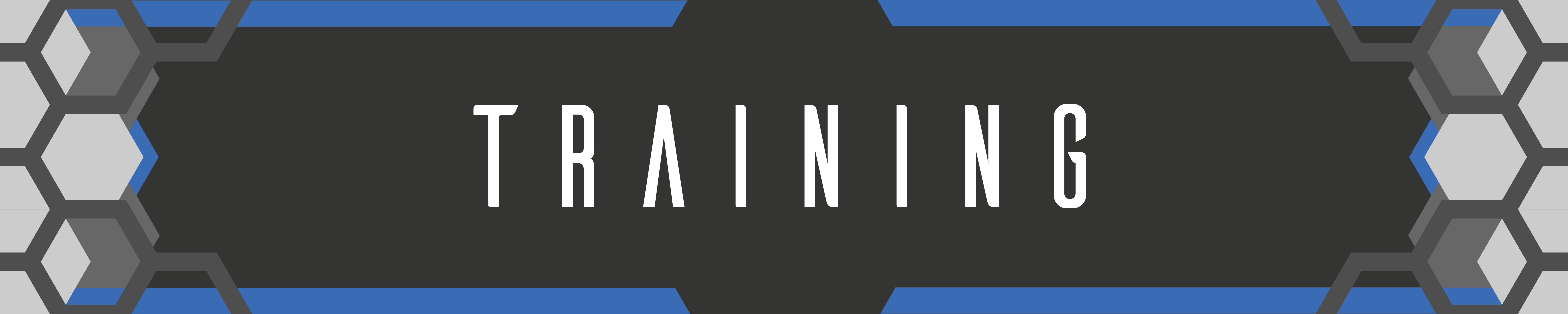 HIVE Training Programme