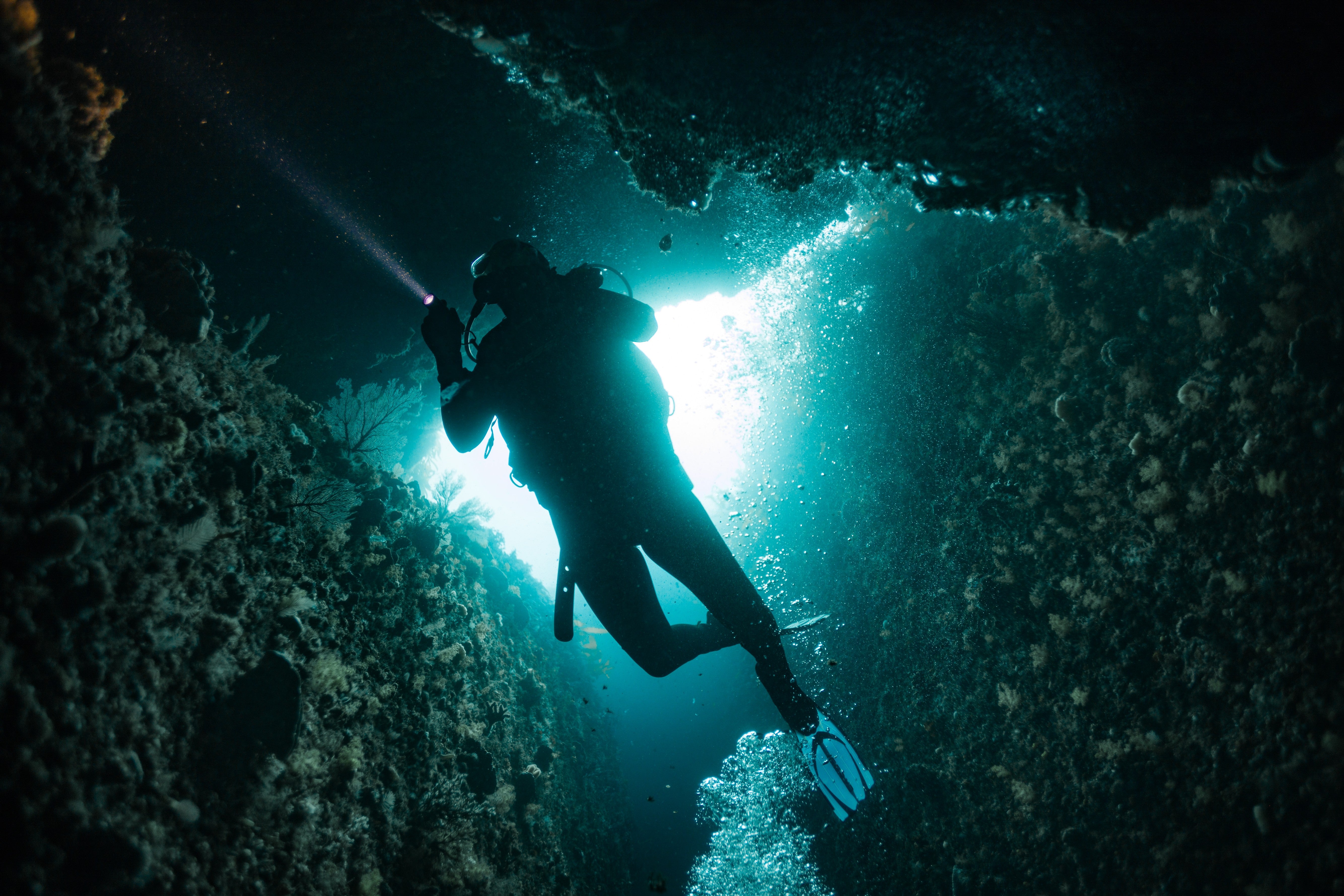 Wilsons Prom 2026 - Diver Deposit