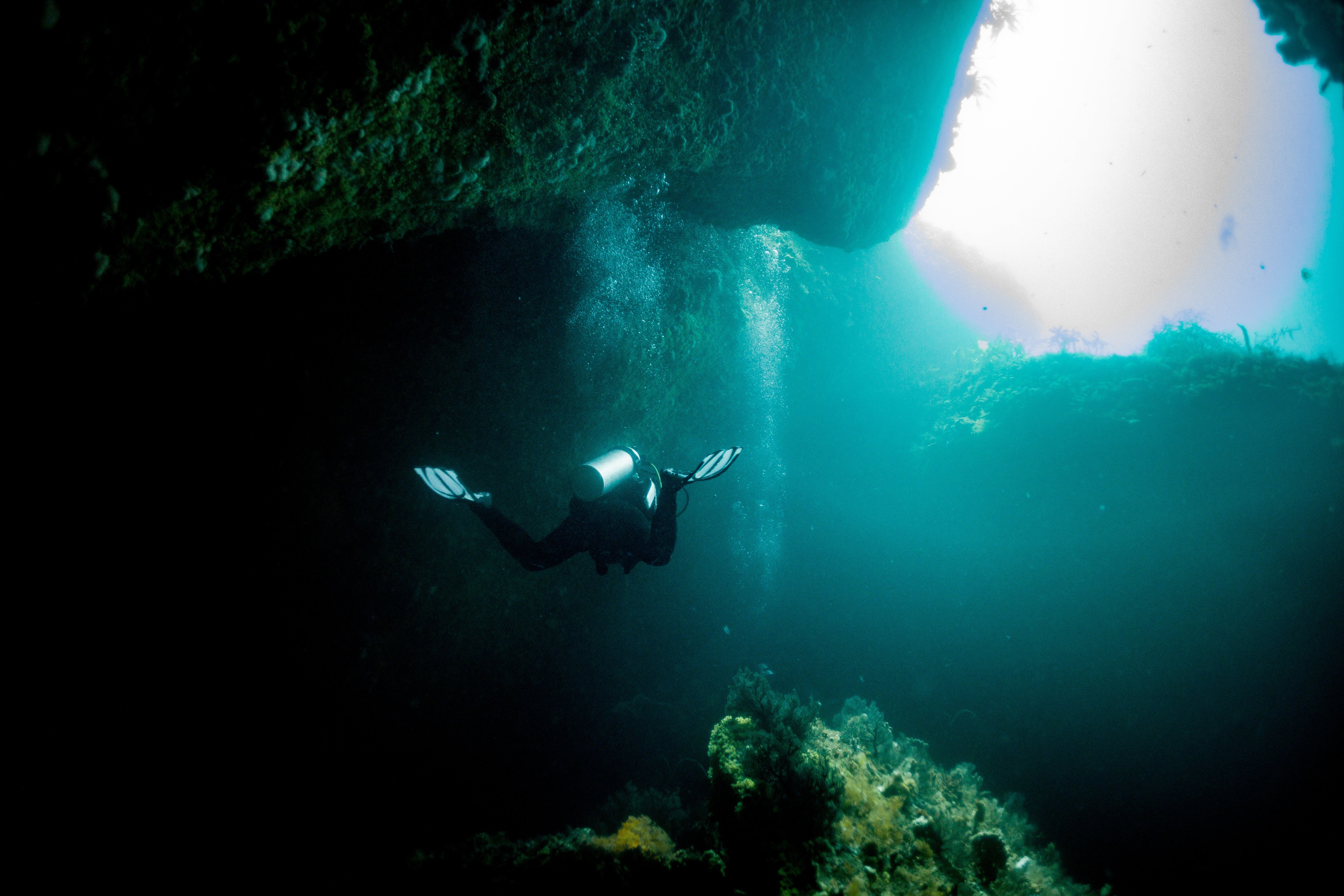 Wilsons Prom 2026 - Diver Deposit