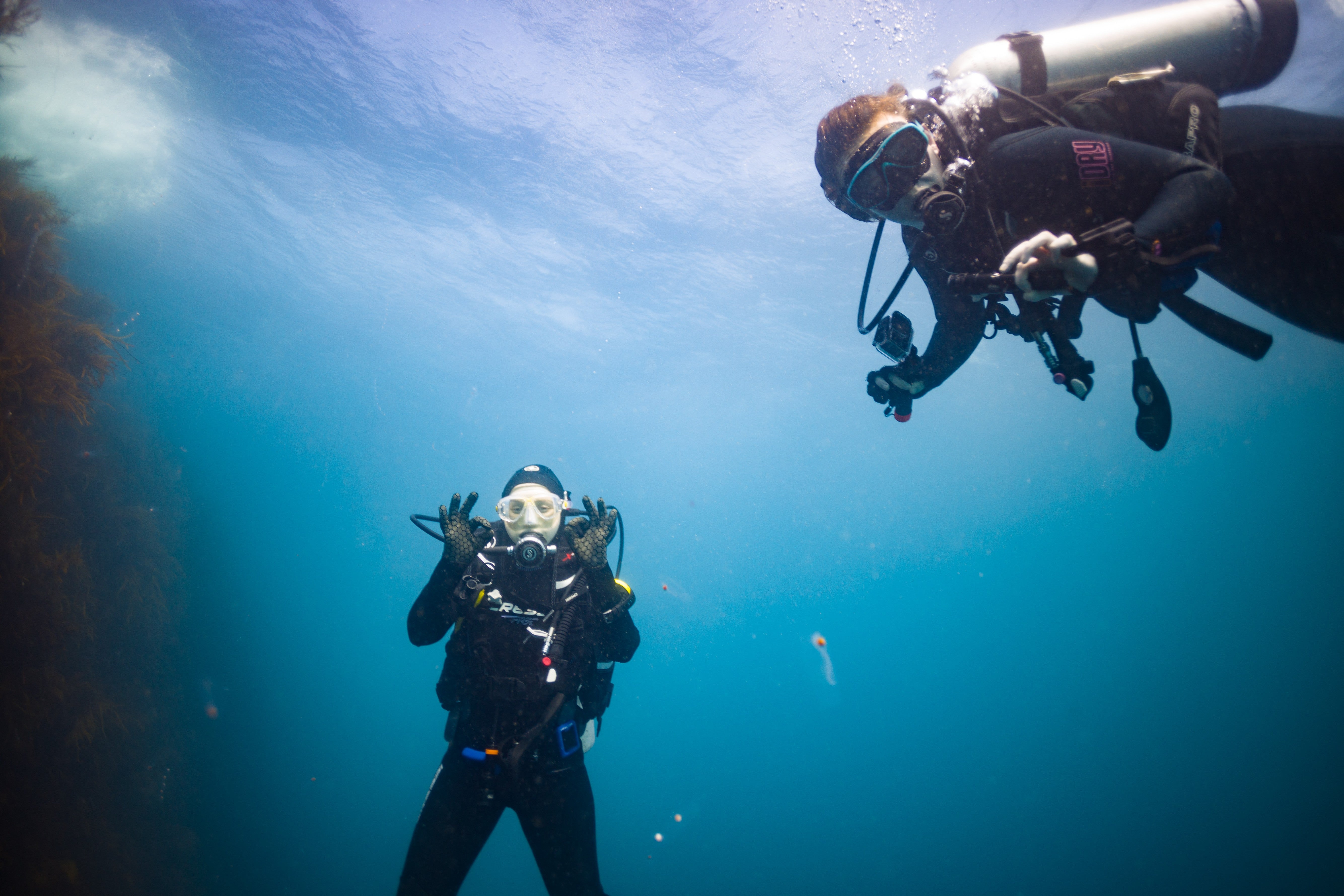 Wilsons Prom 2026 - Diver Deposit