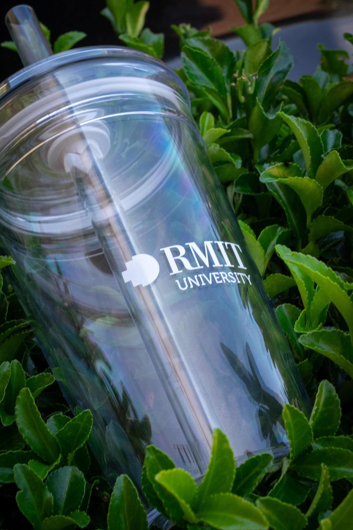 RMIT Cold Cup empty and lying horizontally among green foliage, displaying the RMIT University logo. The clear design highlights its simplicity and practical usage. Part of the RMIT Store collection.