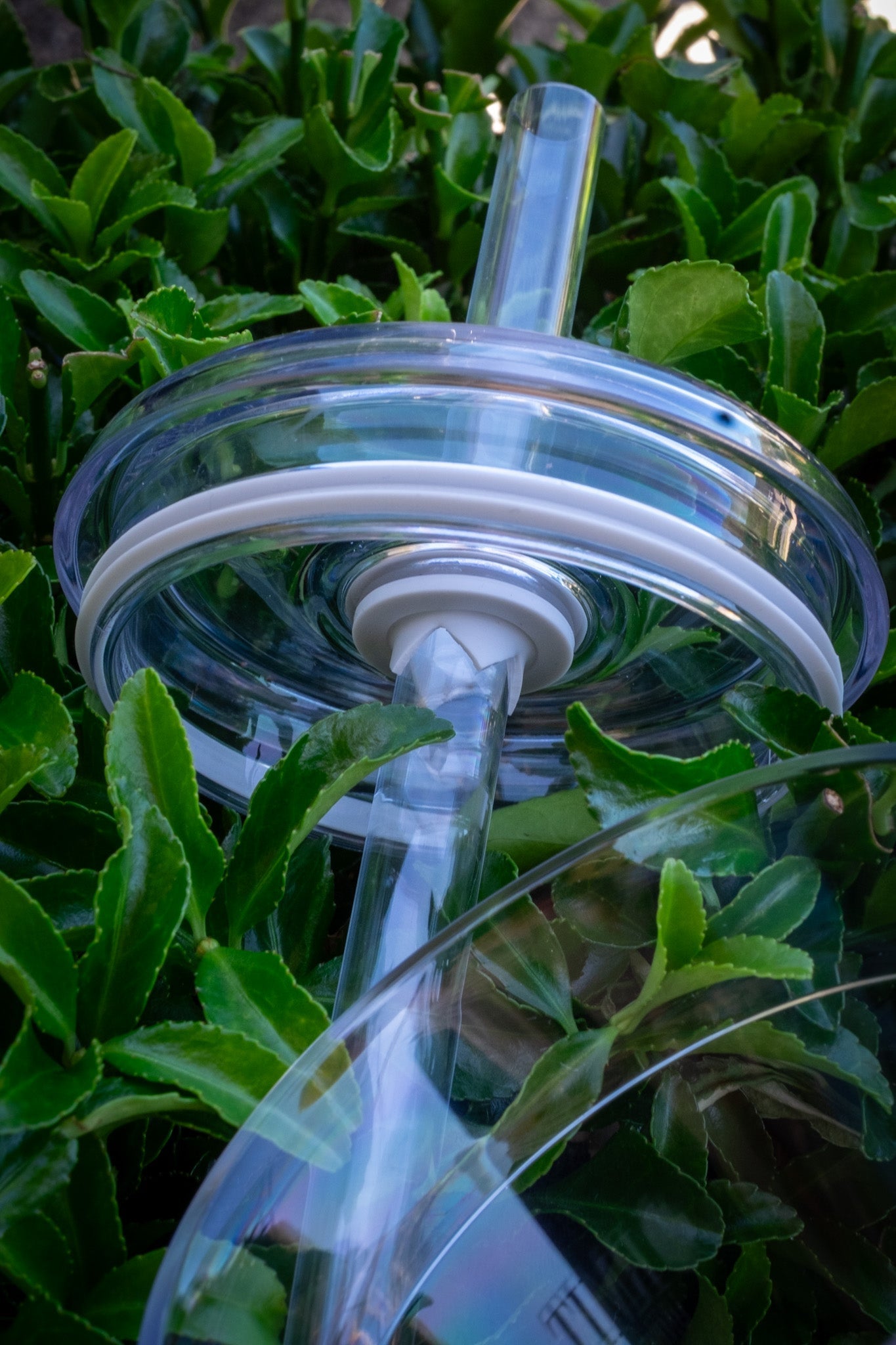 Close-up of the RMIT Cold Cup lid and straw, showcasing its sturdy construction and clear design nestled among green leaves. Ideal for securely sealing beverages, available at the RMIT Store.