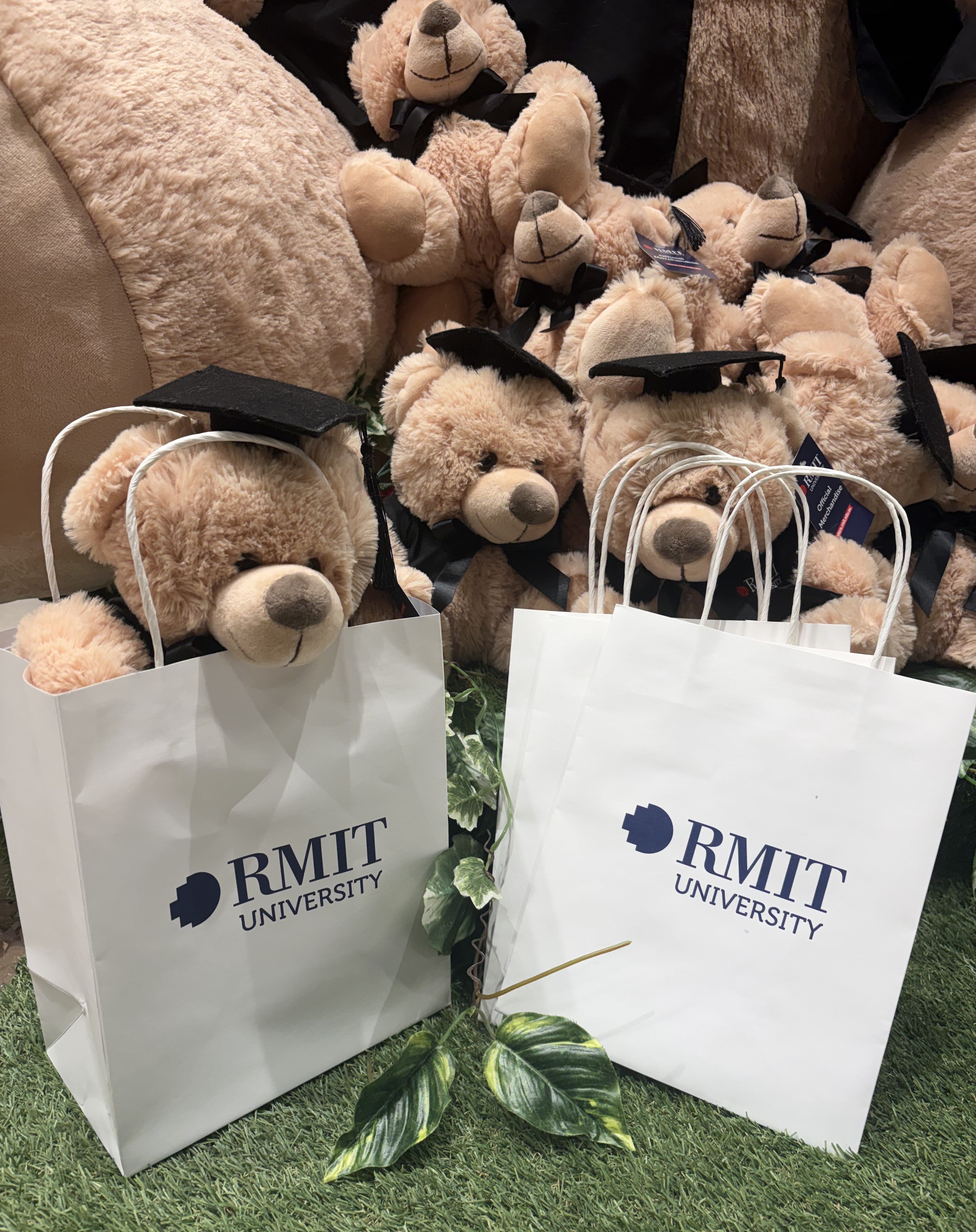 Two white RMIT University gift bags with twisted handles standing on artificial grass in front of a display of graduation teddy bears wearing black mortarboards inside the RMIT Store.