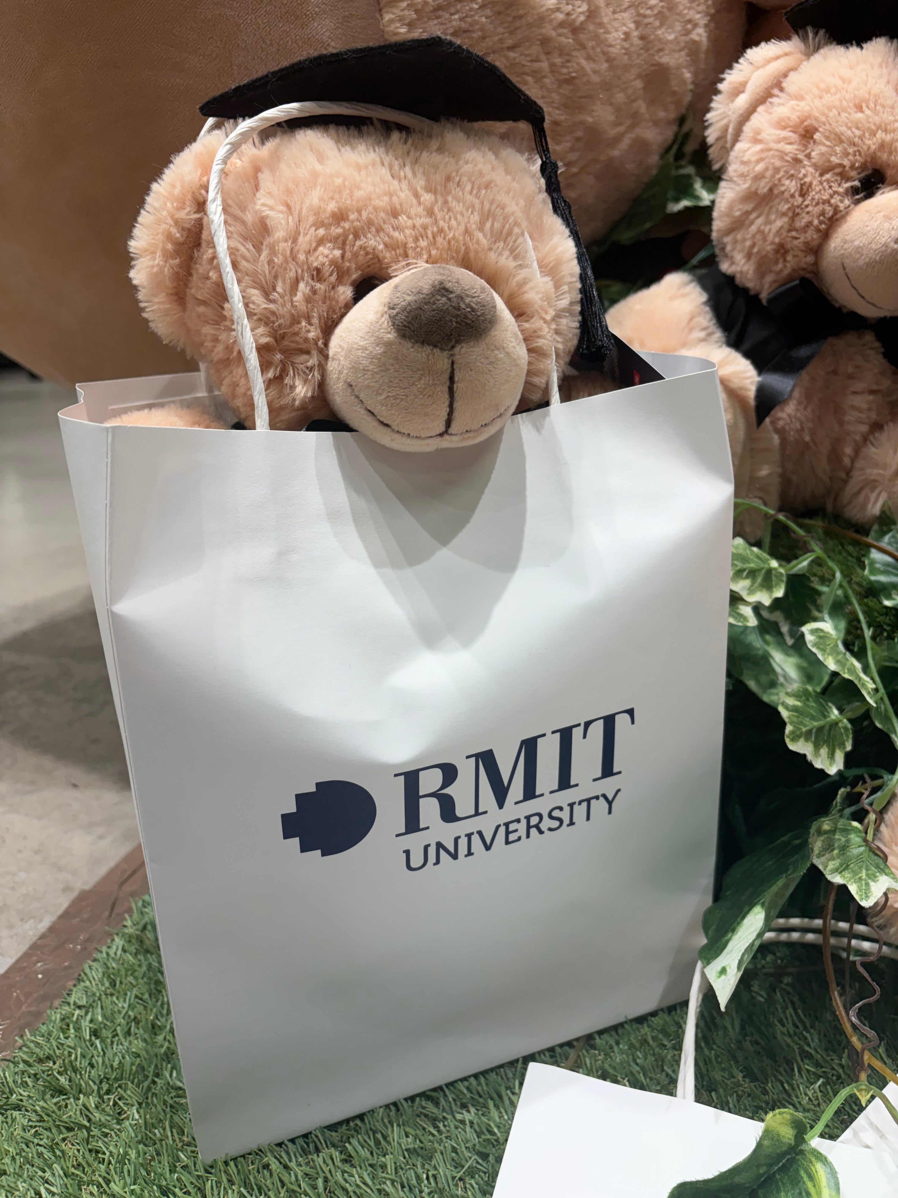 White RMIT University gift bag with twisted handles displayed on artificial green grass, containing a graduation teddy bear wearing a black mortarboard, with additional plush bears visible in the background at the RMIT Store.