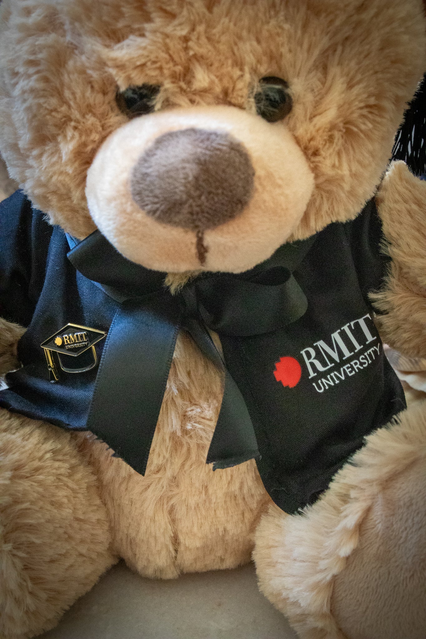 RMIT Store mortarboard pin held by a RMIT Graduation Bear plush toy wearing a black gown with red and white RMIT University branding, showing the black enamel mortarboard pin with gold details.