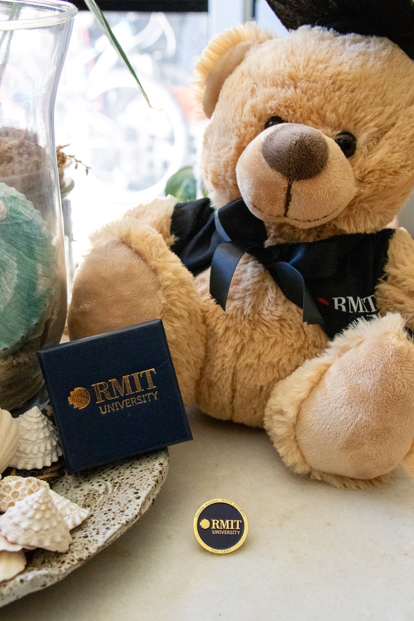 Front view of the RMIT motto lapel pin box placed beside the pin, both displayed in front of a graduation bear. The square navy box features gold RMIT branding, and the lapel pin is navy with a gold outer edge and gold RMIT branding in the centre, available at the RMIT Store.
