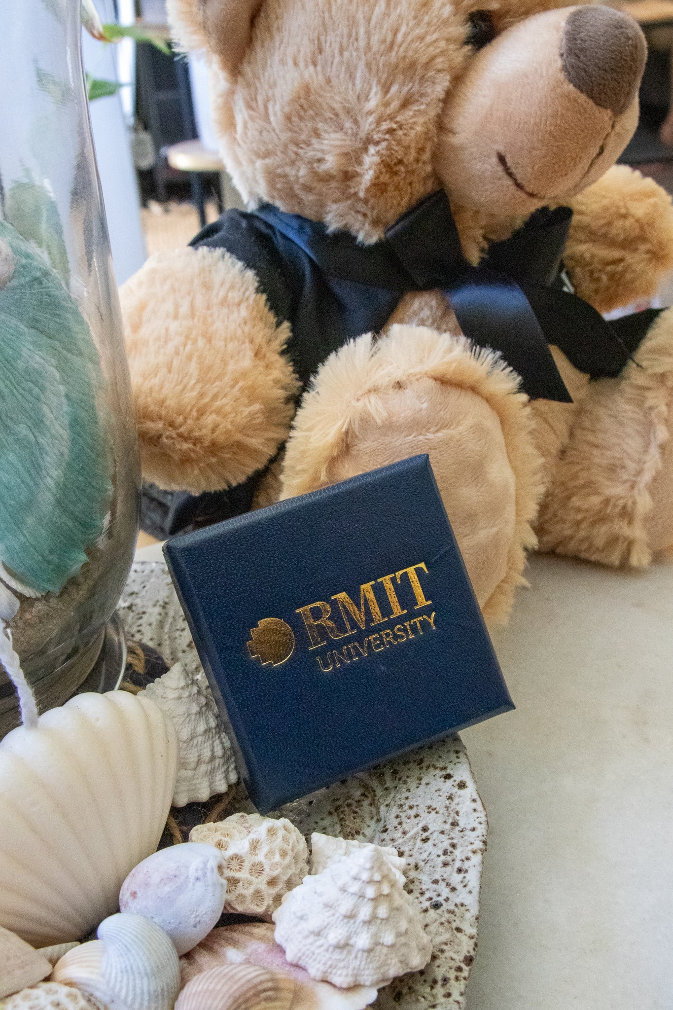 Boxed RMIT motto lapel pin displayed in front of a graduation bear, featuring a square navy gift box with gold RMIT branding, available at the RMIT Store.