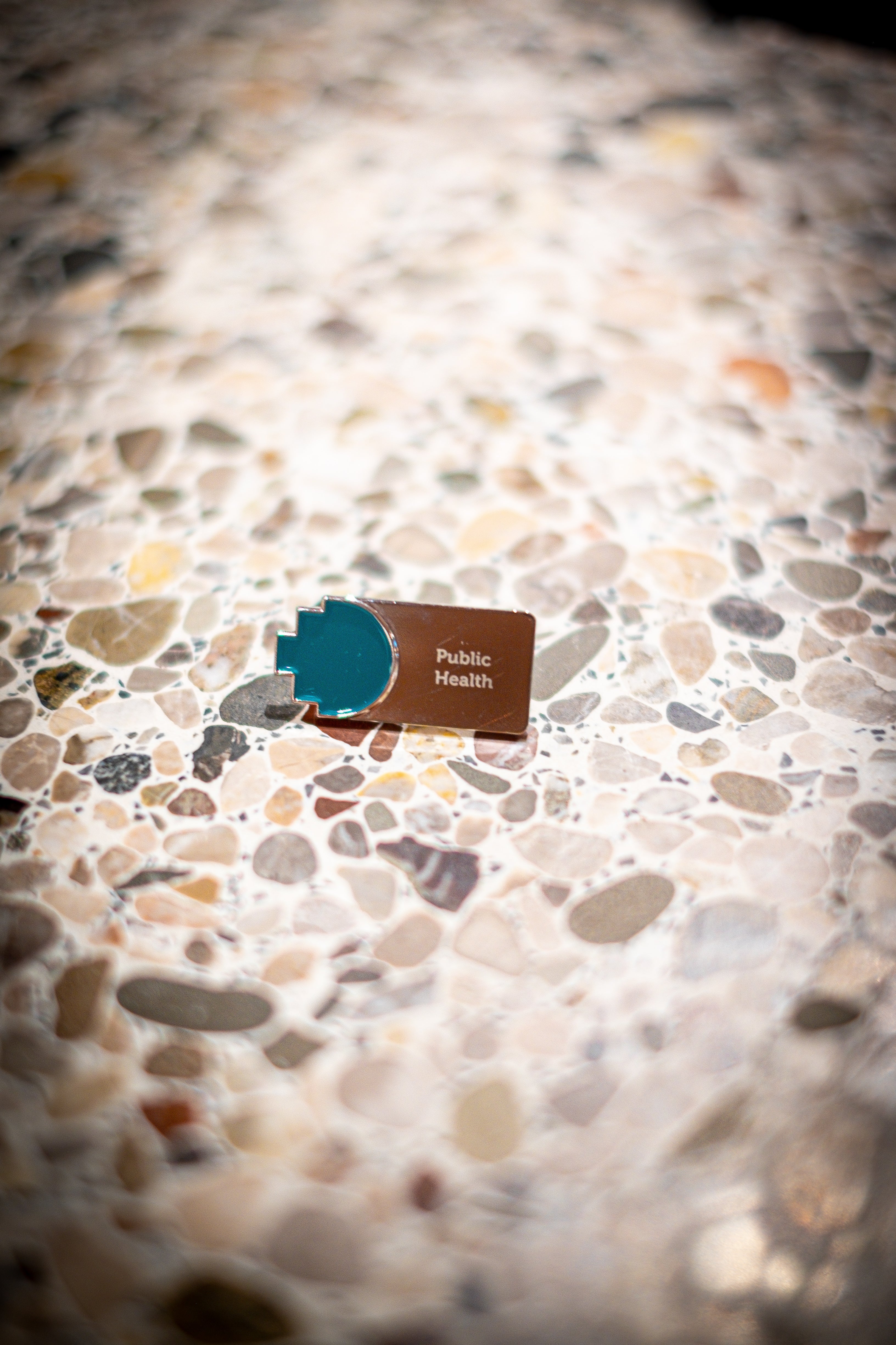 Public Health discipline pin in a horizontal layout, featuring a teal pixelated logo on the left beside a silver square with 'Public Health' text, displayed on a light marble background, available at the RMIT Store.