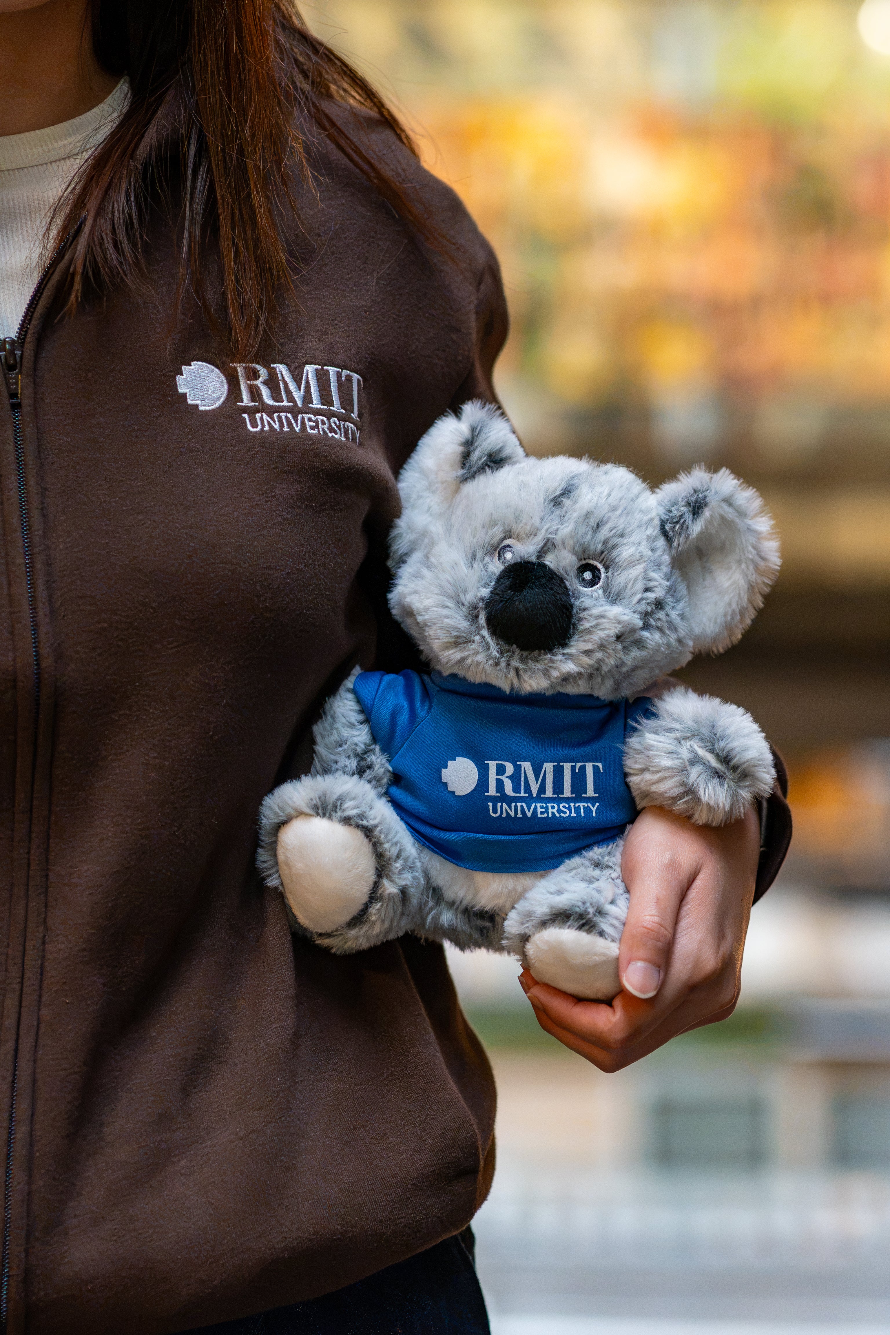 RMIT Graduation Koala plush with soft grey fur wearing a dark blue T-shirt featuring a white RMIT University logo on the front, tucked under the arm of a model wearing a chocolate RMIT University zip jacket with a white embroidered chest logo, shown against a softly blurred outdoor campus background.