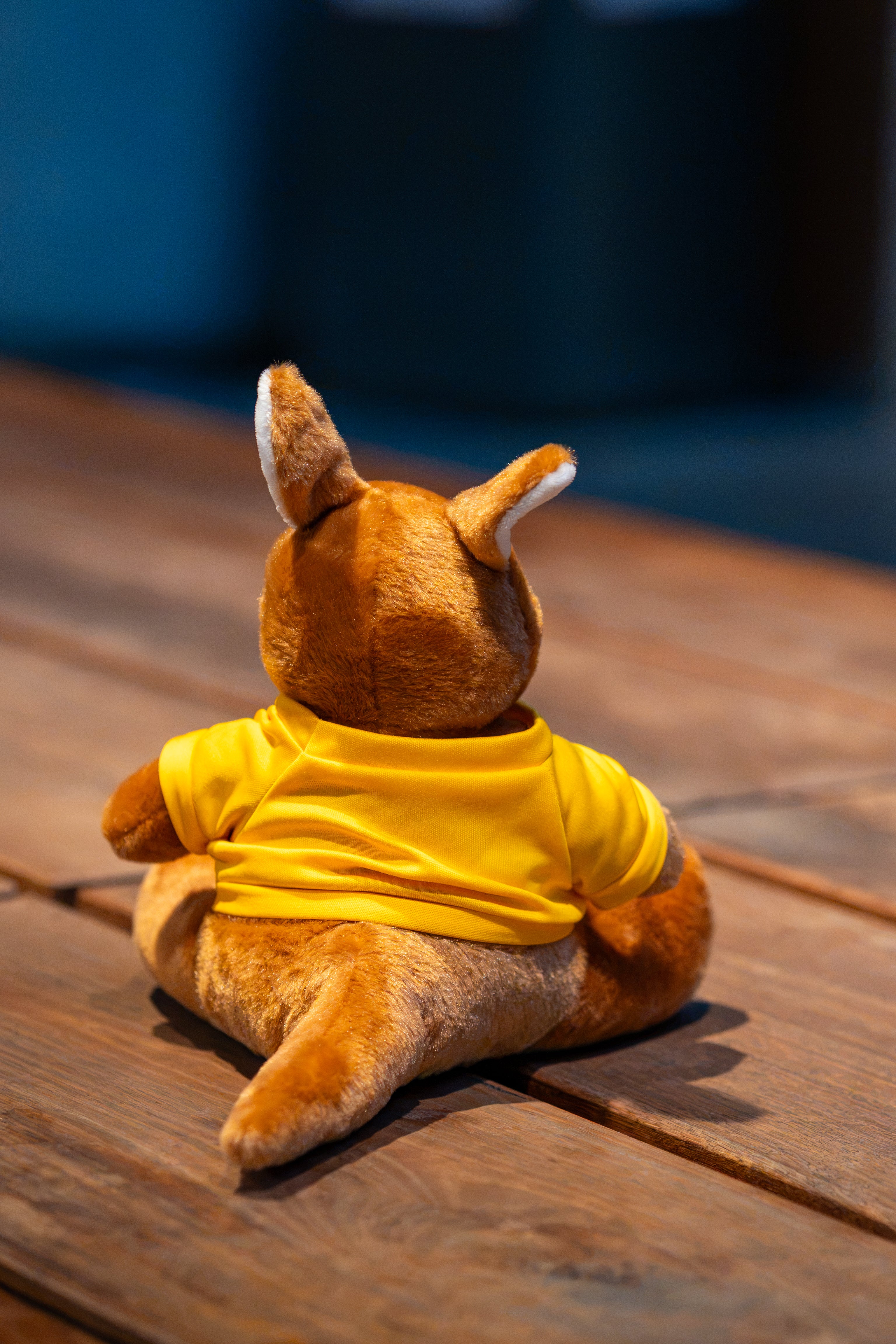 RMIT Store RMIT University Kangaroo Plush in a plain yellow tee shown from the rear, seated on a wooden table with visible plush tail and upright ears.