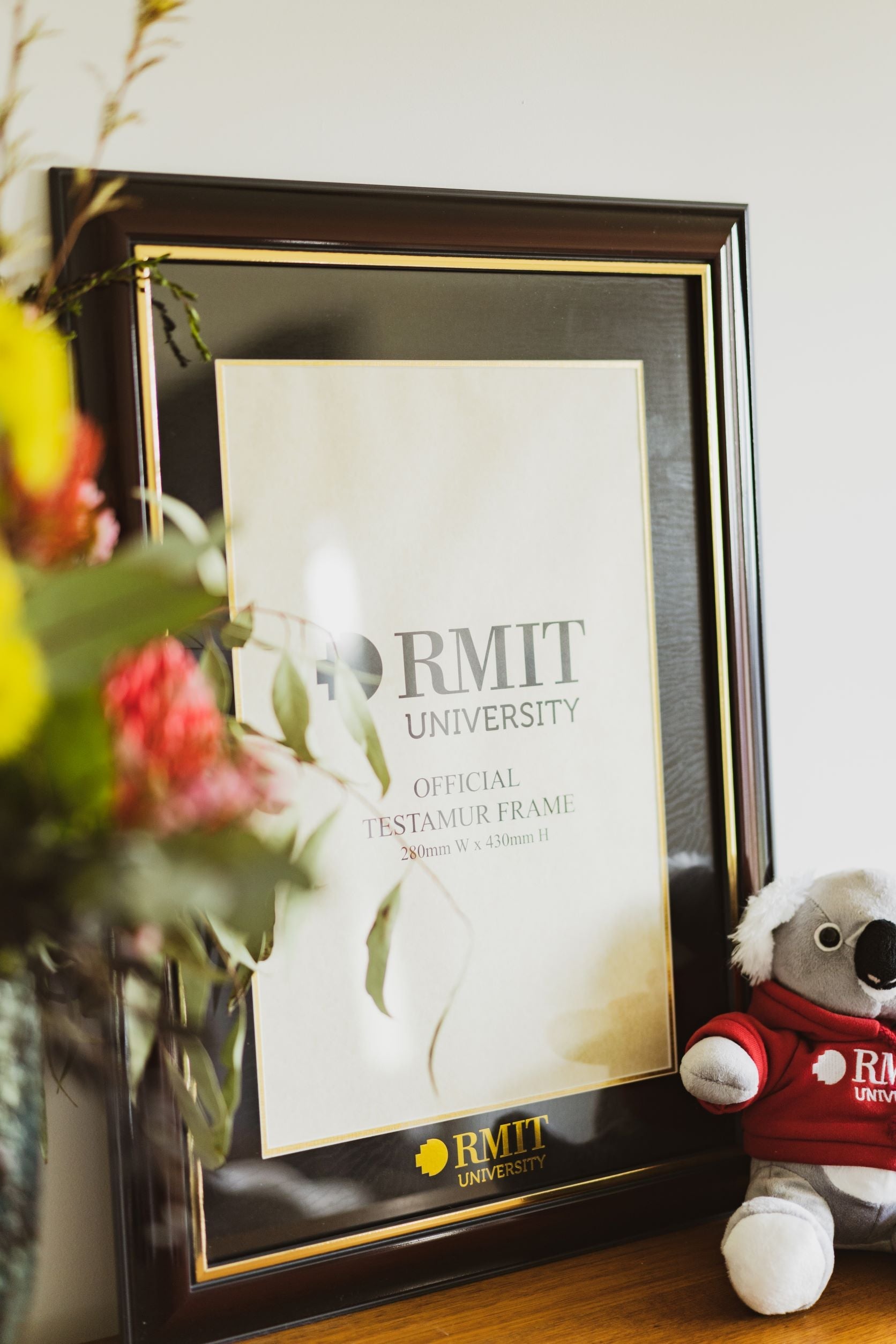 Testurmar frame in chestnut finish standing upright on a wooden tabletop with charcoal matte backing and a gold liner around the frame edge. To the left is a bunch of colourful flowers, and to the right is a plushie. Available from the RMIT Store.