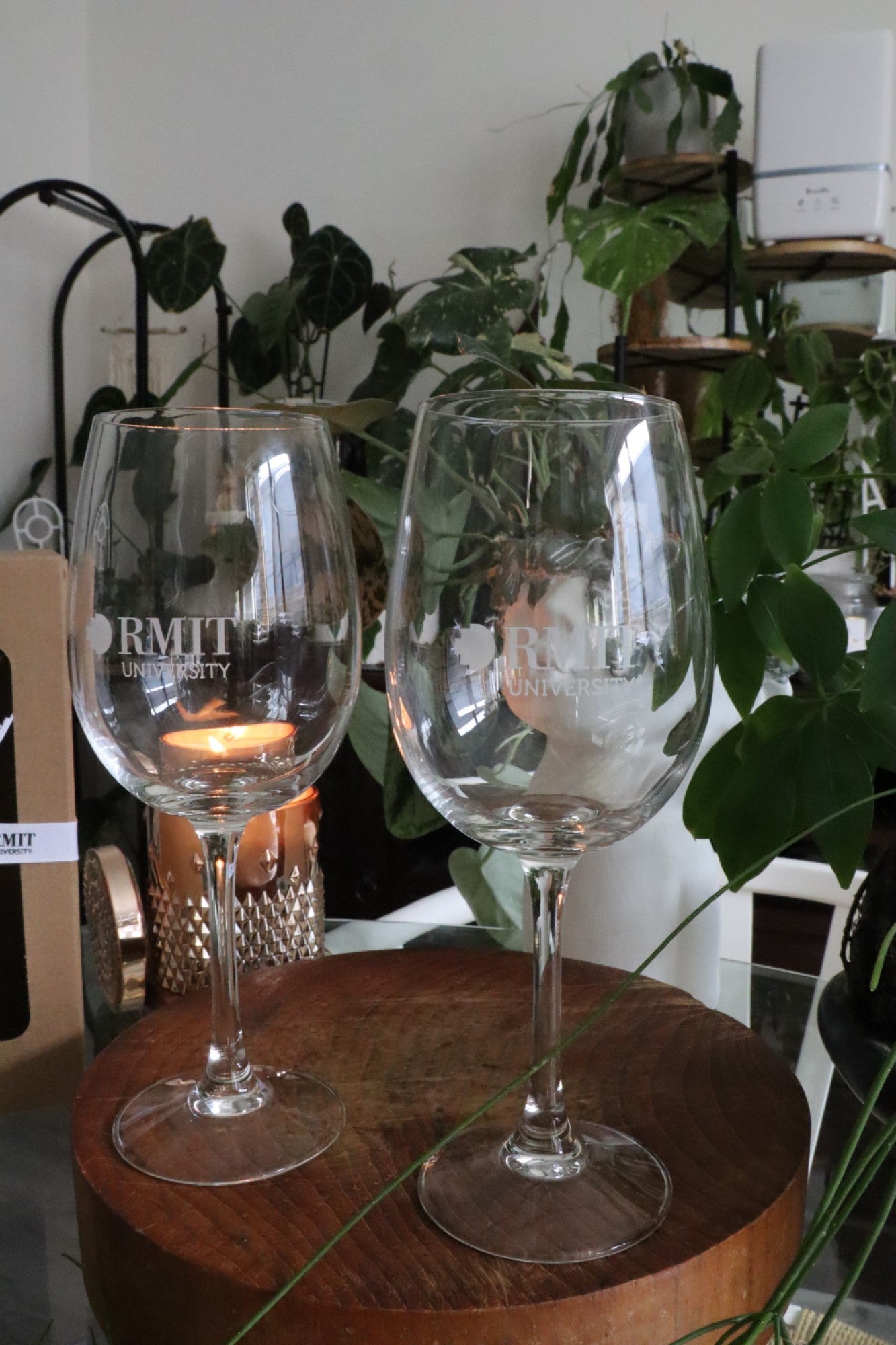 Two elegant wine glasses featuring the RMIT University logo placed on a wooden surface. The glasses are set against a backdrop of lush green indoor plants, creating a refined and natural aesthetic. Part of the RMIT Store's exclusive glassware collection.