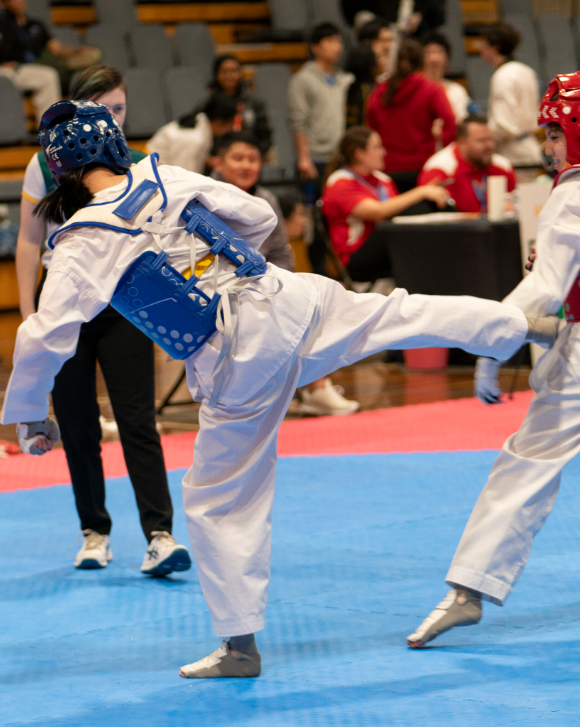 RMIT World Taekwondo Club