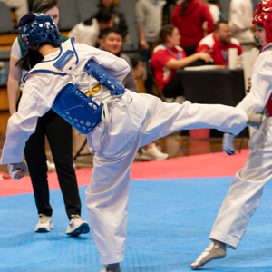World Taekwondo Club