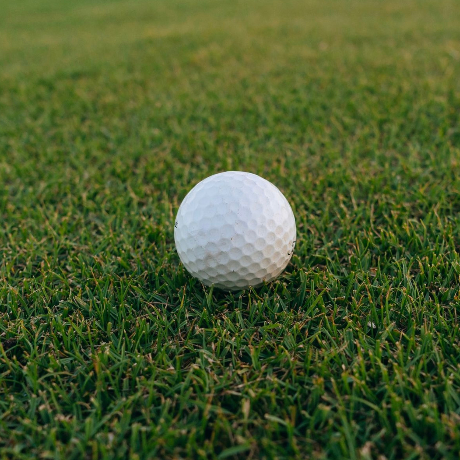 50 balls (Members only)