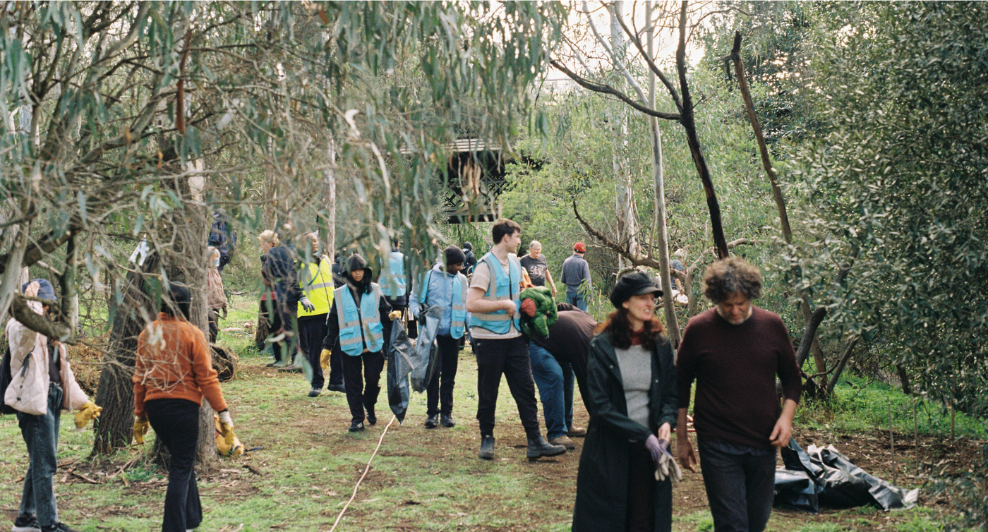 Group of volunteers participating in a community cleanup event in a forested area with Wattle.