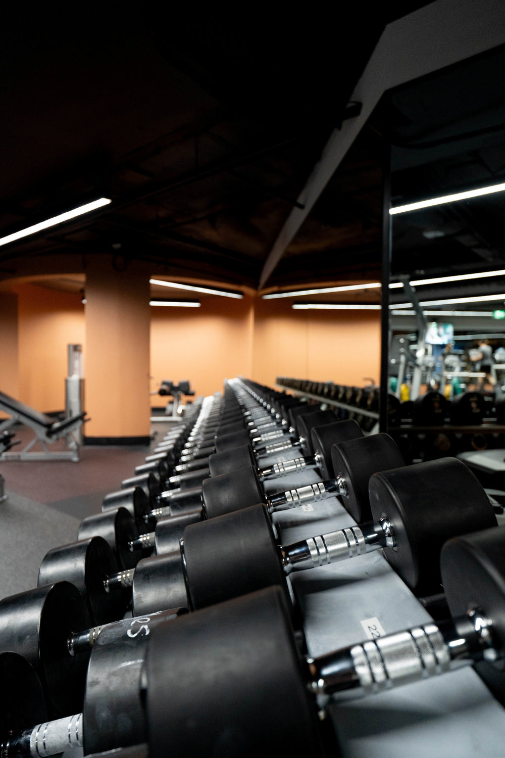 Row of dumbbells in a gym setting with equipment and mirrors in the background.