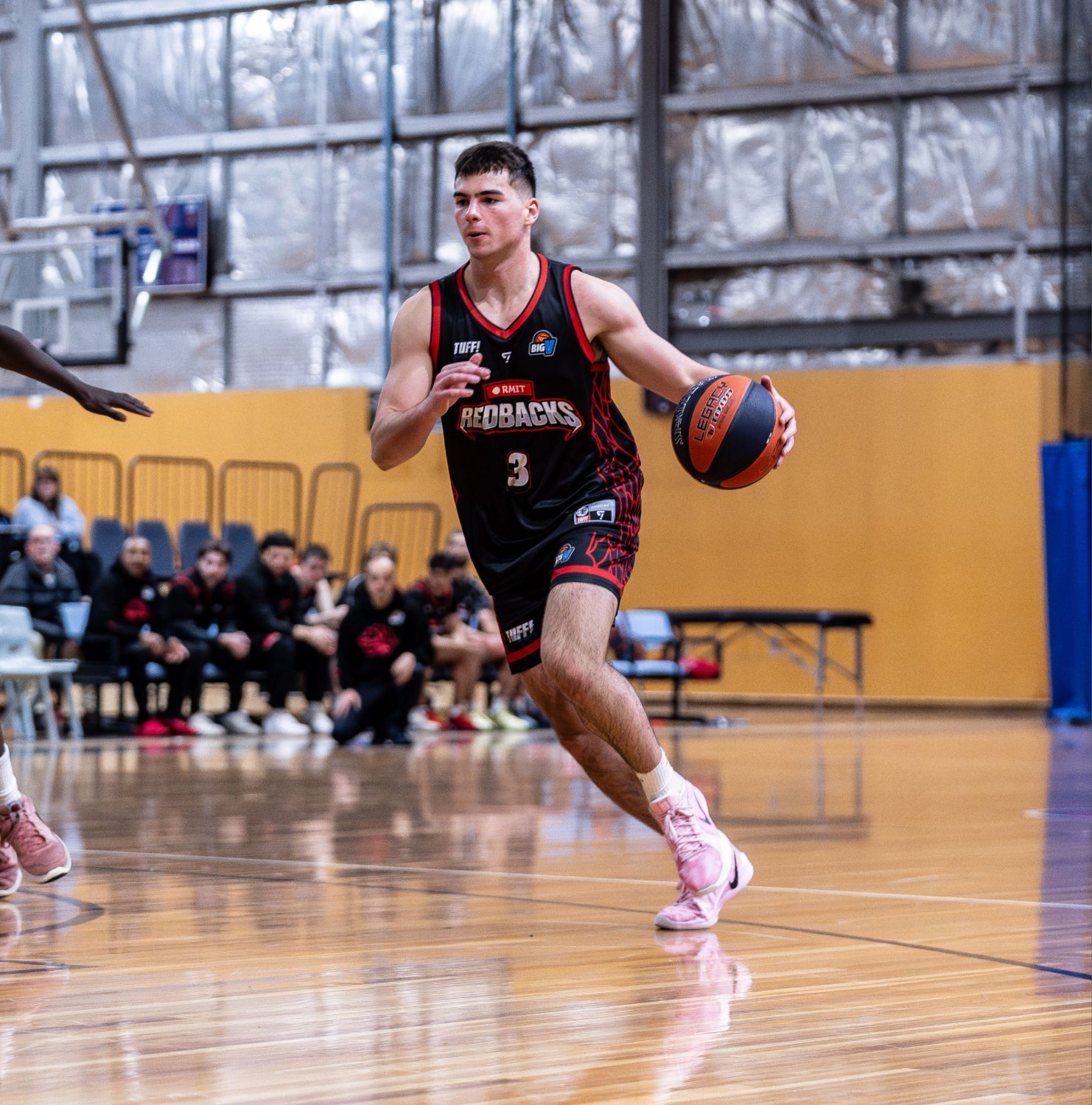 RMIT Big V (Development Player) Youth Team Season 2026 Fees 