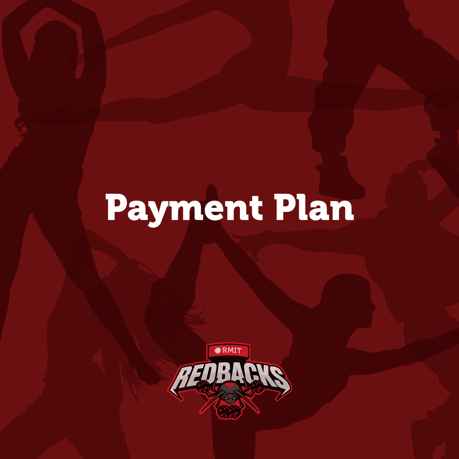 PAYMENT PLAN - Charlotte Tripodi - Ball Tickets