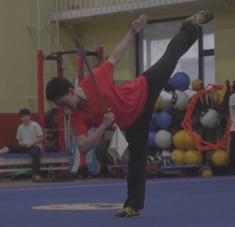 Wushu & Taichi
