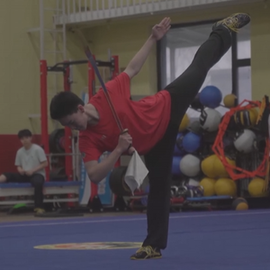 Wushu & Taichi